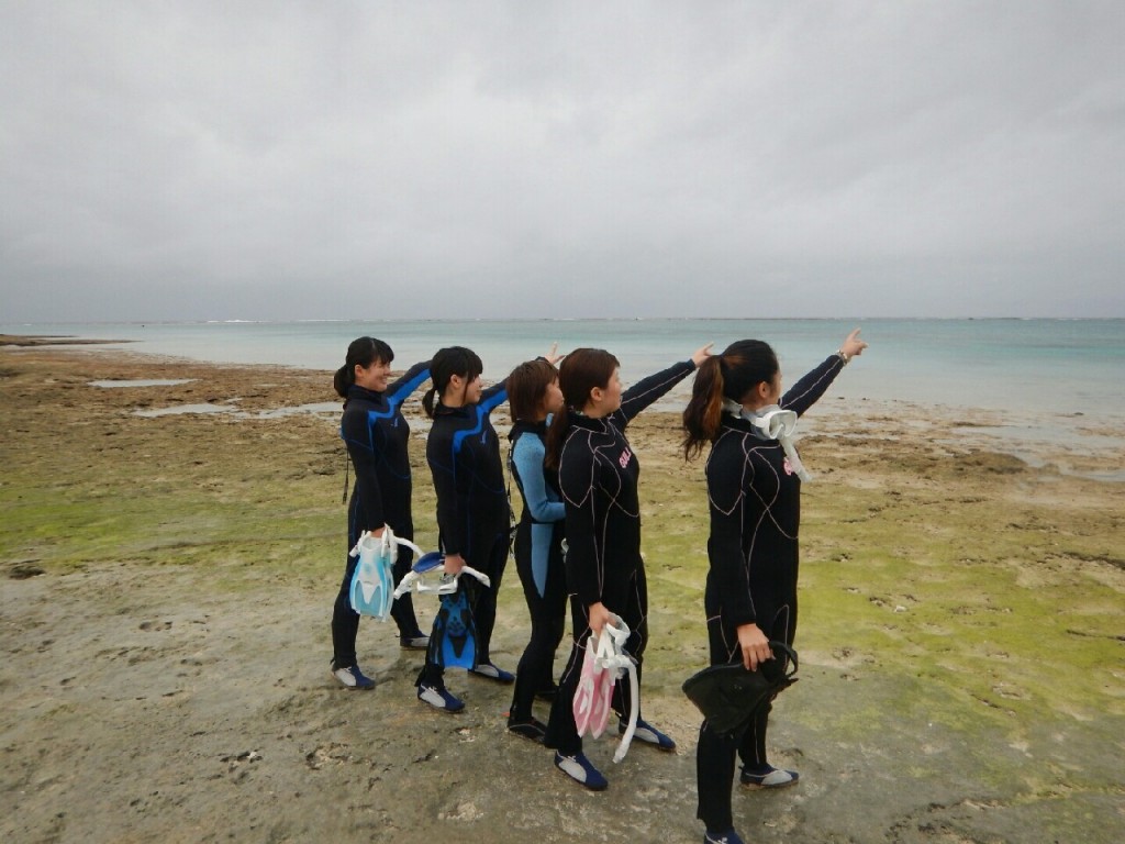 目指すは看護士めざすはシュノーケルでウミガメ