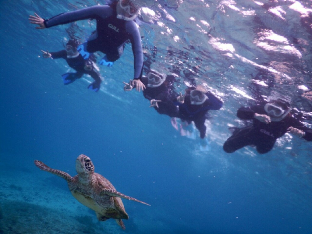 5人でウミガメを探しにシュノーケル