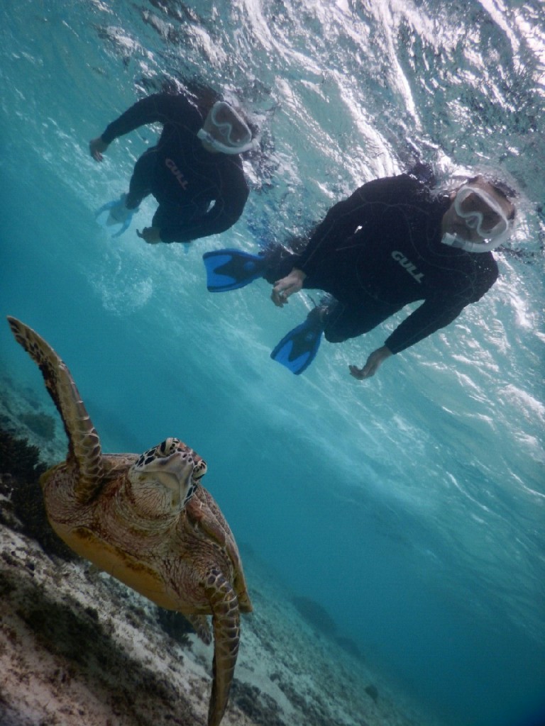 宮古島亀カメでシュノーケル