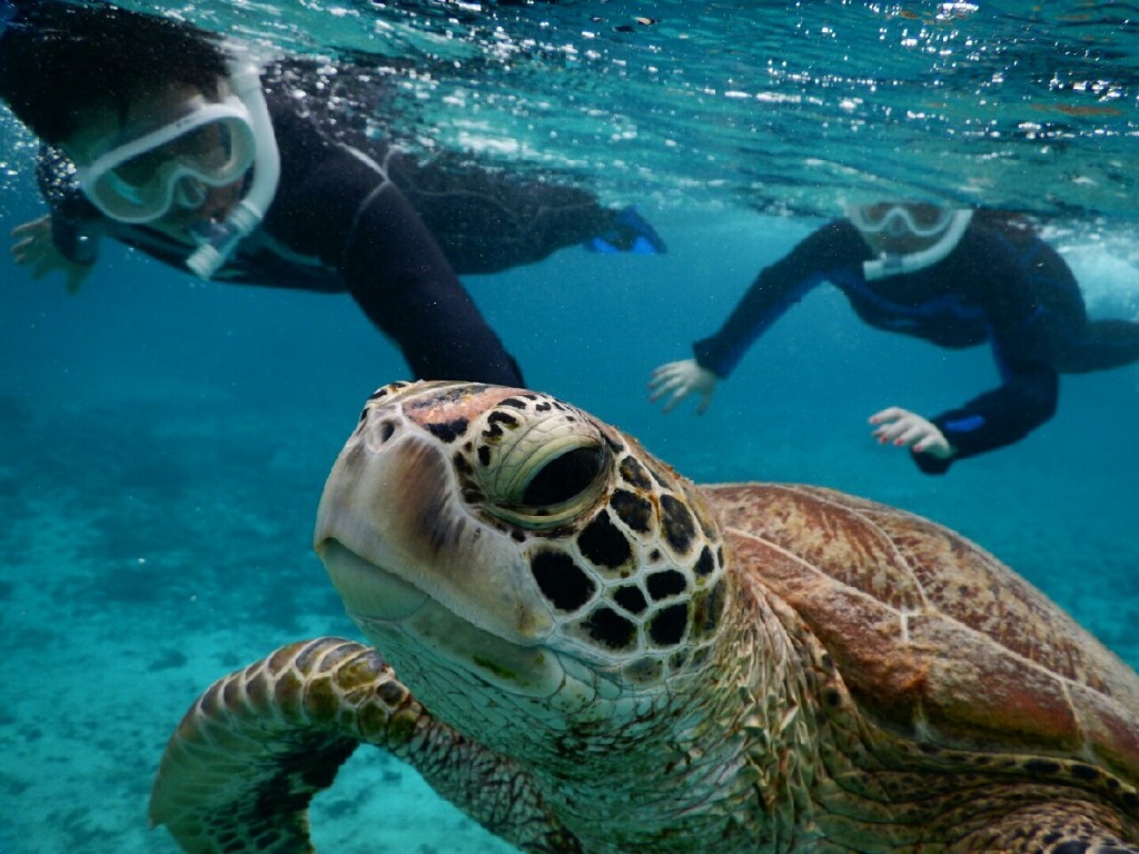 青い海宮古島シュノーケル