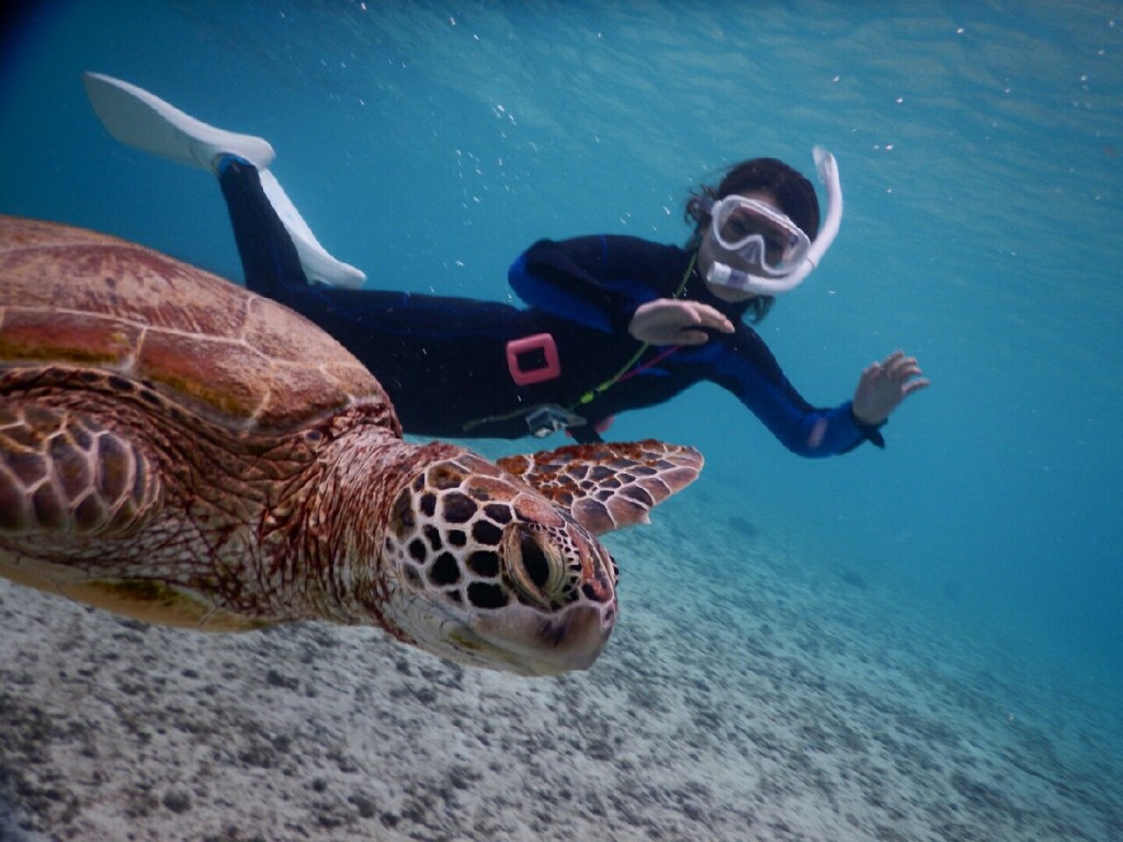 横からウミガメ撮影