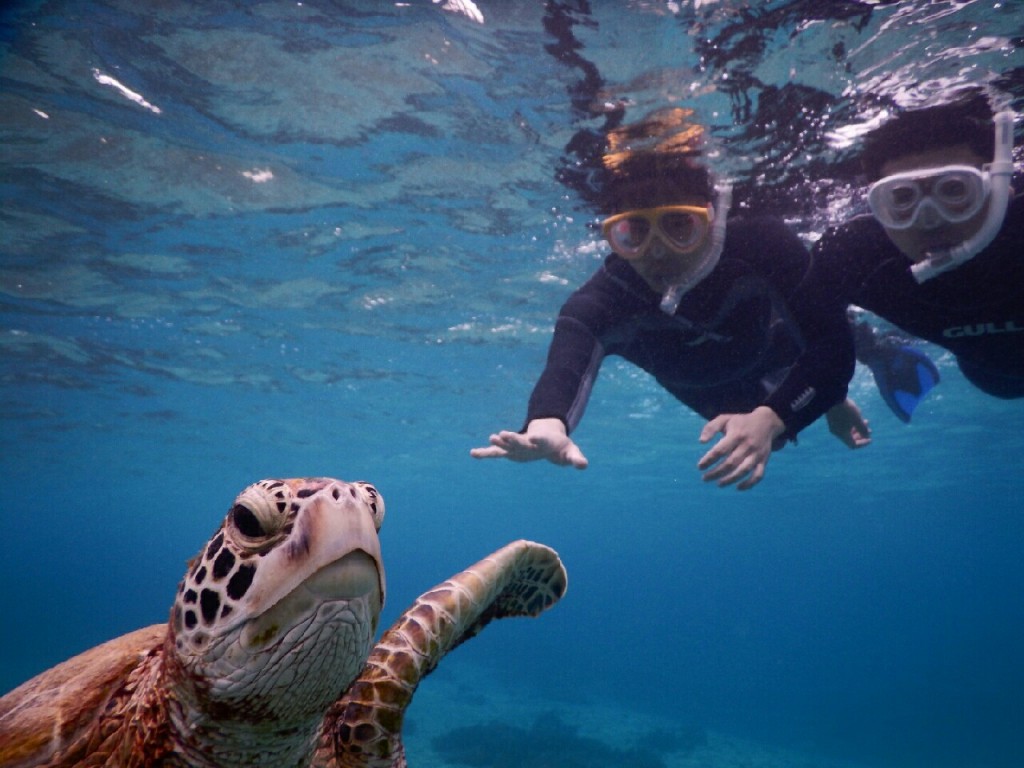 生まれた宮古島でシュノーケル