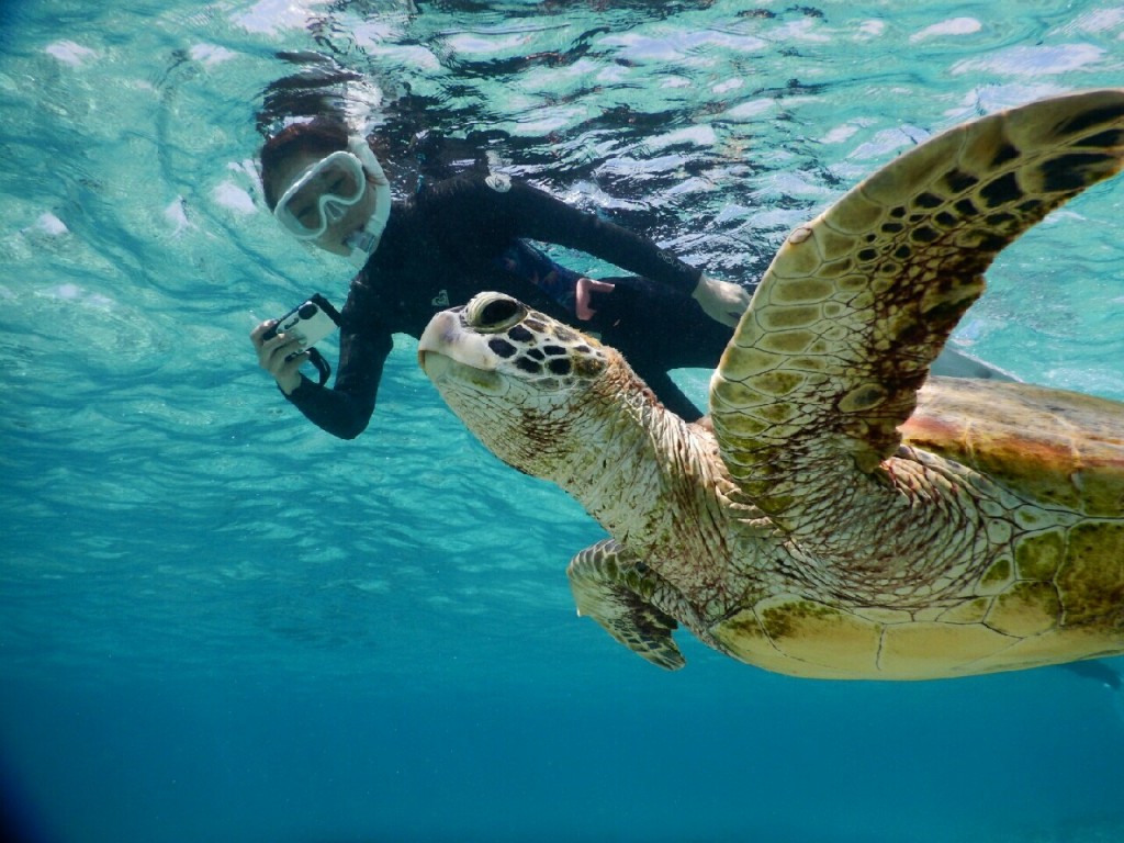 自前ウェットで宮古島シュノーケル