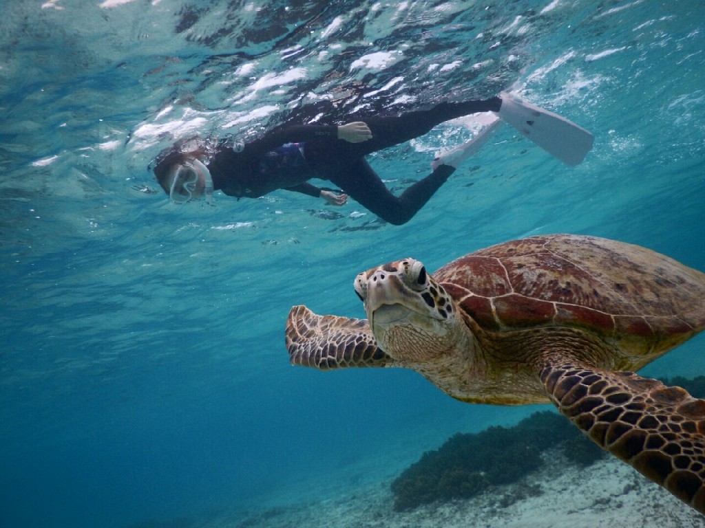 宮古島フォームが綺麗なシュノーケル