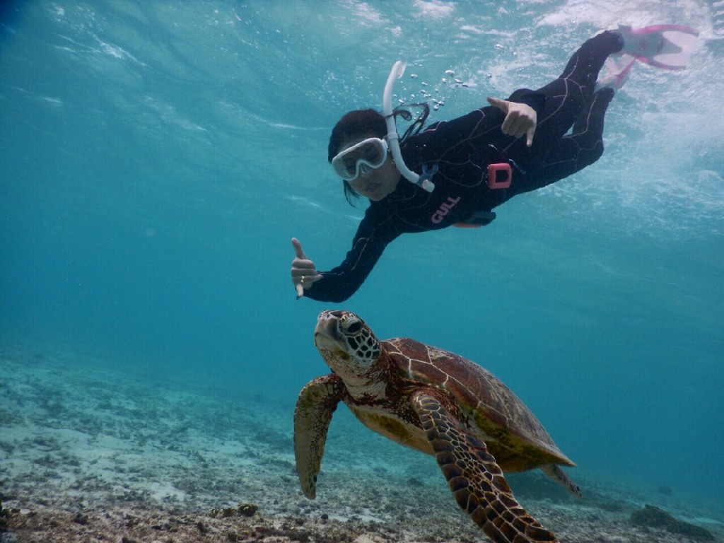 素敵なスキンダイビング