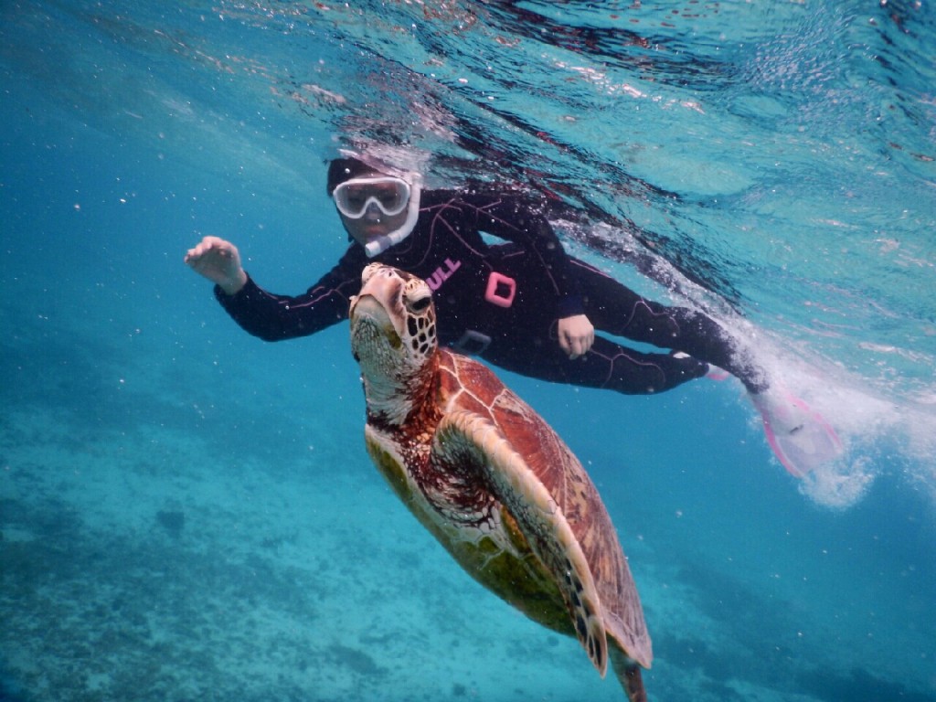紹介で宮古島へシュノーケル素敵なお客様