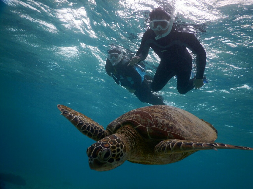 曇りでも宮古島でシュノーケルは大丈夫