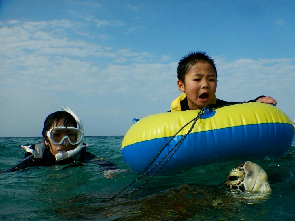 ウミガメさん息継ぎ4歳で