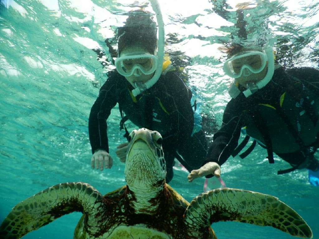 母の為にシュノーケリング