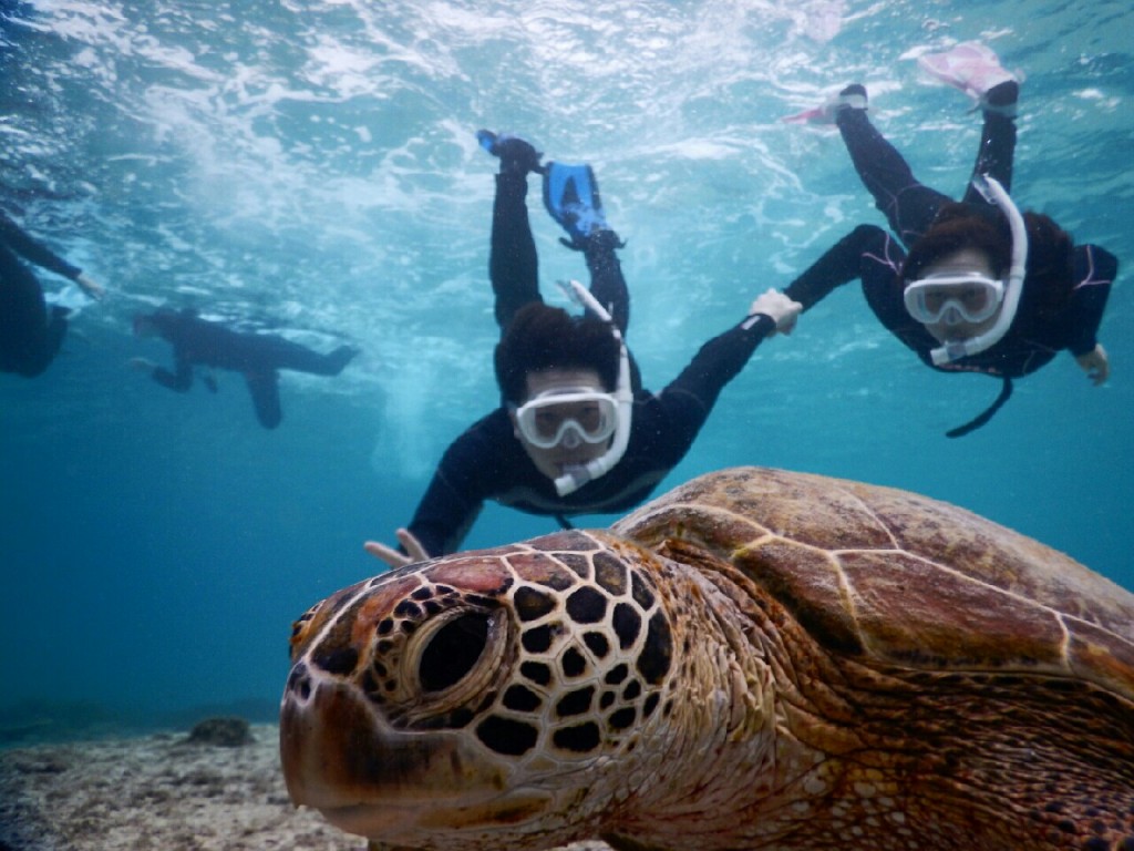 息を会わせてスキンダイブ