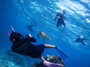 シュノーケリングツアー撮影の様子