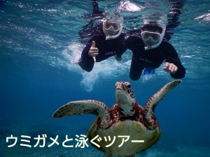 ウミガメと泳ぐツアー