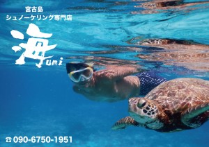 宮古島シュノーケリング専門店 海