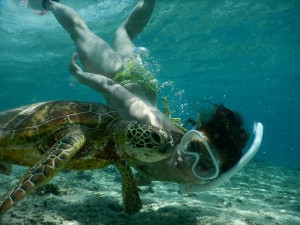 宮古島でビキニでスキンダイビング