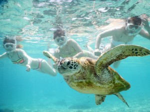 ビキニ美女３名ウミガメシュノーケリングの宮古島は晴れ