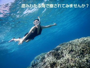 珊瑚のシュノーケリング