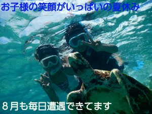 ８月シュノーケリングで毎日ウミガメ