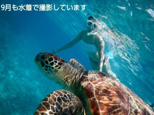 宮古島ウミガメと泳ぐ写真は９月も水着