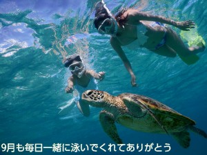 まだまだ宮古島はビキニでウミガメとシュノーケリングできるよ