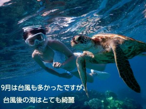 台風後の宮古島シュノーケルはすみわたる海の世界