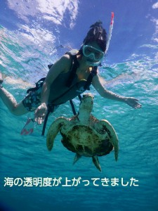宮古島10月のシュノーケリングは透明度アップ