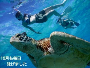 2016年10月も毎日宮古島でウミガメとシュノーケル