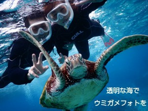 秋の宮古島の海でシュノーケルできます