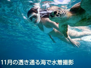 白い素敵なビキニで宮古島でウミガメと泳ぐ