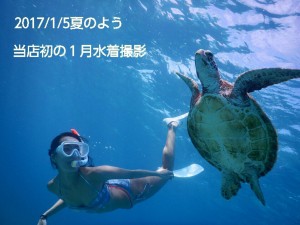 1月に初のウミガメと宮古島で水着撮影