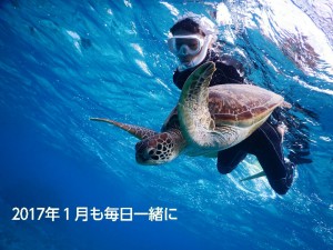 2017年も宮古島でウミガメとシュノーケル