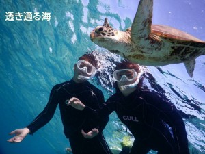 冬の宮古島でシュノーケル