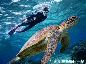 宮古島の深い海でウミガメと