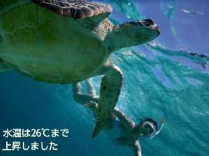宮古島シュノーケルは水温上昇中