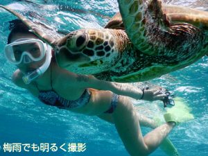 シュノーケリングで梅雨にウミガメと宮古島で接近