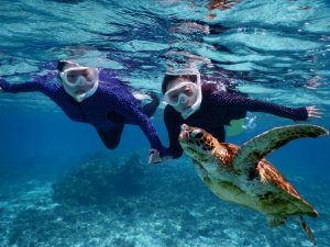 透明度が良すぎるシュノーケリング宮古島