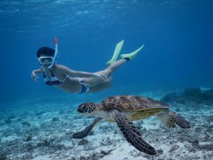 見事なスキンダイビング