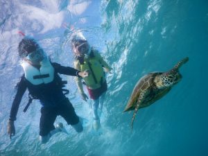 宮古島の夏休みウミガメと