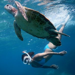 宮古島で見事なシュノーケリング