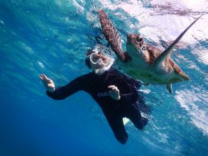 冬のシュノーケリングは透明度最高に