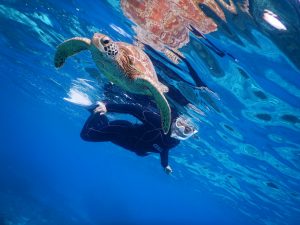 冬の宮古島シュノーケリングするリピーター様