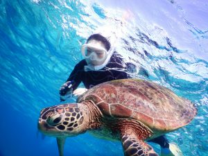 透明感がすごい冬は宮古島でシュノーケリング