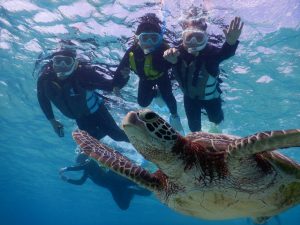 冬休みお子様もウミガメを見にシュノーケリング