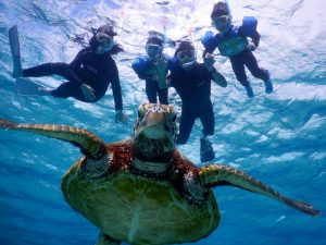 もうすぐ春休み是非宮古島でウミガメとシュノーケリングを