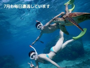 7月シュノーケリングでウミガメ