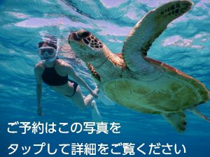 シュノーケリングツアー詳細へショートカット