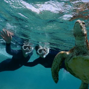 楽しいウミガメシュノーケルツアーでハッピーポーズ