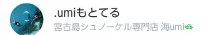 宮古島シュノーケル専門店海LINEもとてる
