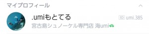 宮古島シュノーケル専門店海umi もとてる