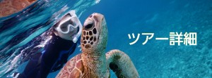 シュノーケリングツアー詳細