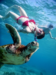戯れる宮古島シュノーケリング